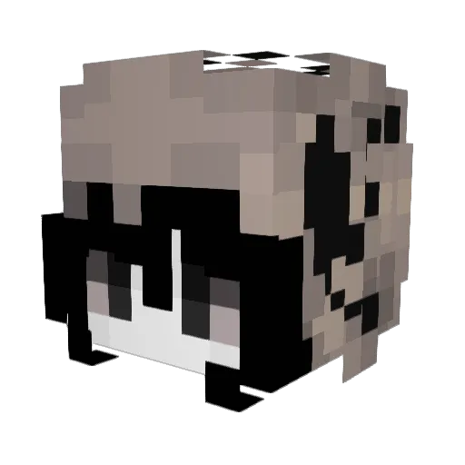 Lmao1sam Minecraft avatar head, 3D render