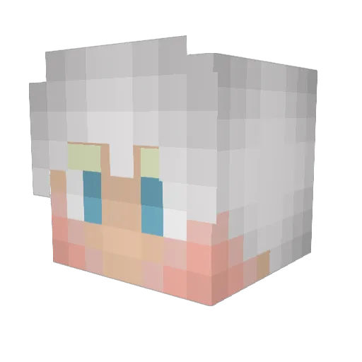 LmaoPedoBest Minecraft avatar head, 3D render