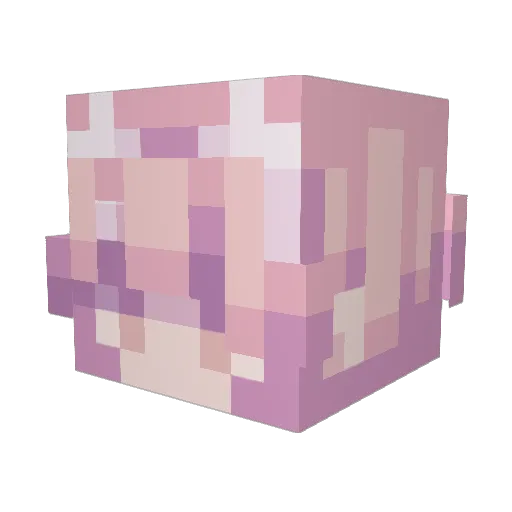 Lnelsonbueno Minecraft avatar head, 3D render