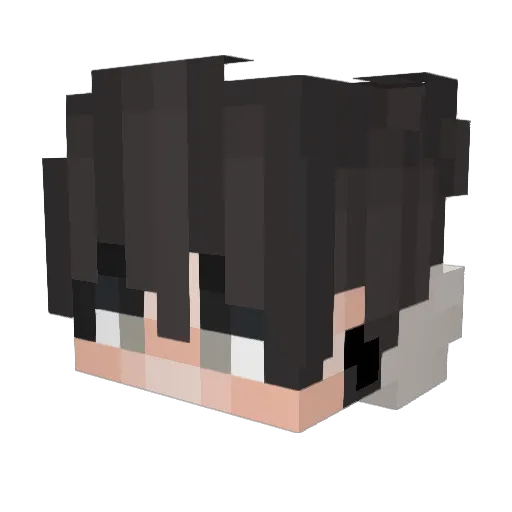 Lnoes Minecraft avatar head, 3D render