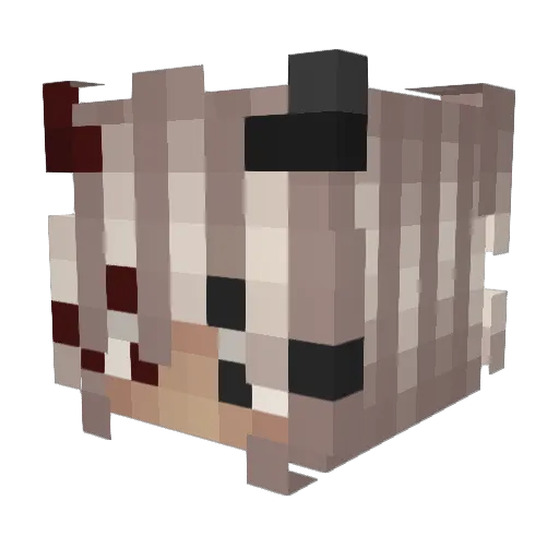 LoENA_ Minecraft avatar head, 3D render