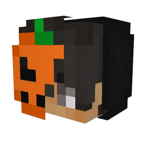LoFTT_ Minecraft avatar head, 3D render