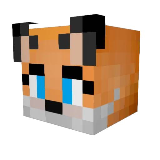 LoFiTanuki Minecraft avatar head, 3D render
