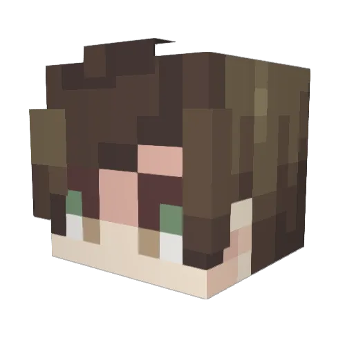 LoGicMidnight Minecraft avatar head, 3D render