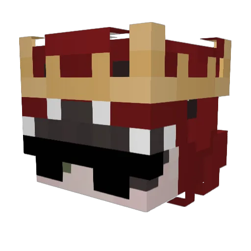 LoLLucasLoL1881 Minecraft avatar head, 3D render