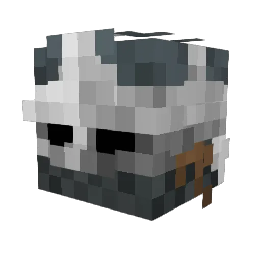 LoLdoom0 Minecraft avatar head, 3D render
