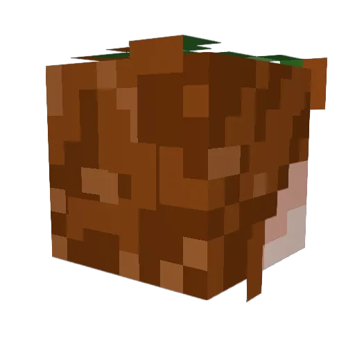 LoLeeLeePop Minecraft avatar head, 3D render
