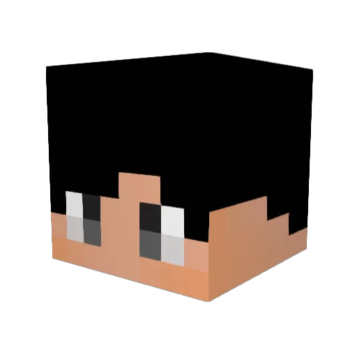 LoLicito Minecraft avatar head, 3D render