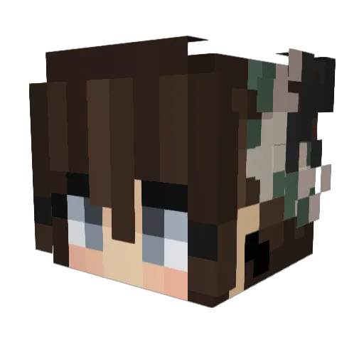 LoLoLana205 Minecraft avatar head, 3D render