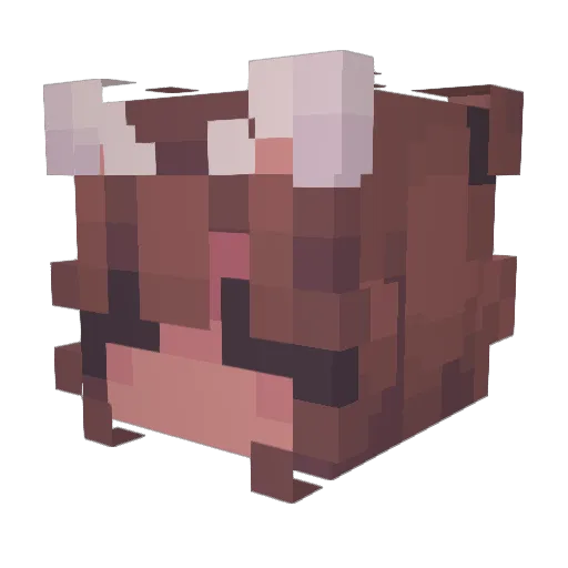 LoLoMax Minecraft avatar head, 3D render