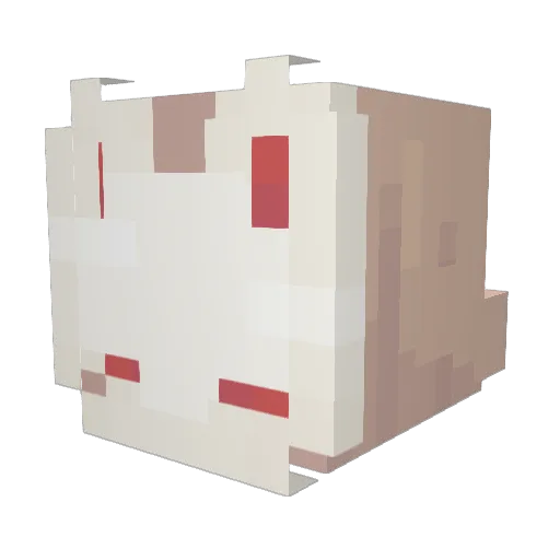 LoLzie_pop Minecraft avatar head, 3D render