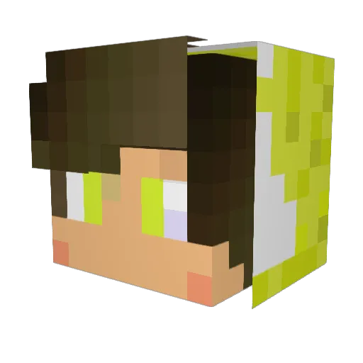 Lo_ll Minecraft avatar head, 3D render