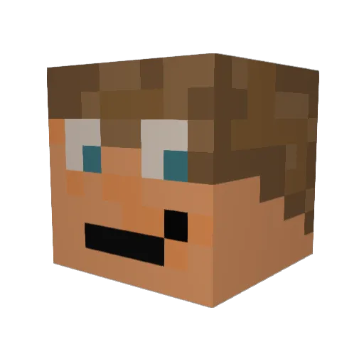 LoadNaMe Minecraft avatar head, 3D render