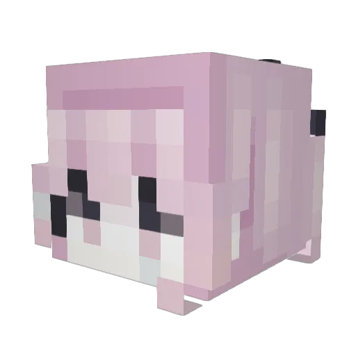 Loaf_is_bread Minecraft avatar head, 3D render