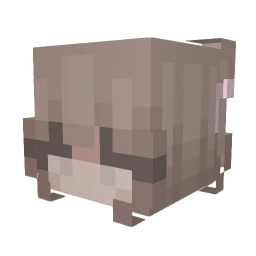 Loafi4u Minecraft avatar head, 3D render