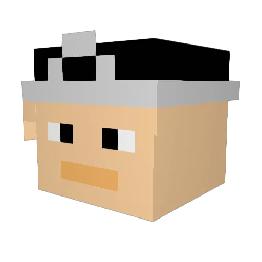 LoanDolphinYT Minecraft avatar head, 3D render
