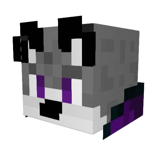 Lobo51 Minecraft avatar head, 3D render