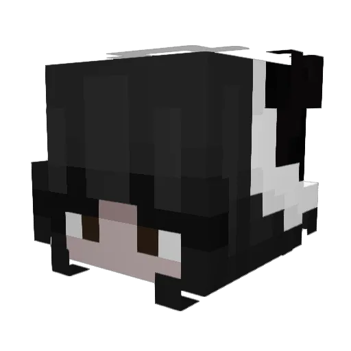 Lobsbirdacis Minecraft avatar head, 3D render