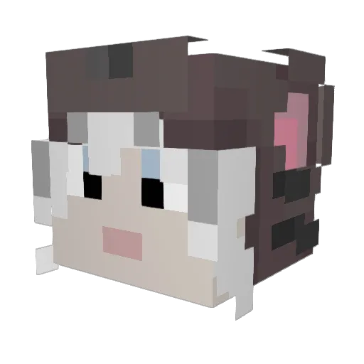 Lobsided_Bullse Minecraft avatar head, 3D render