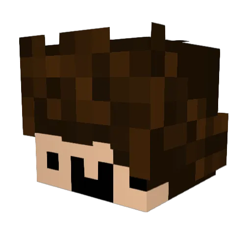 Lobsterlion1 Minecraft avatar head, 3D render
