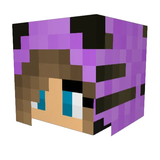 Loc243 Minecraft avatar head, 3D render