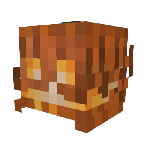 Loca1Pyromaniac Minecraft avatar head, 3D render
