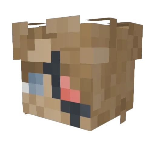LocaBee Minecraft avatar head, 3D render