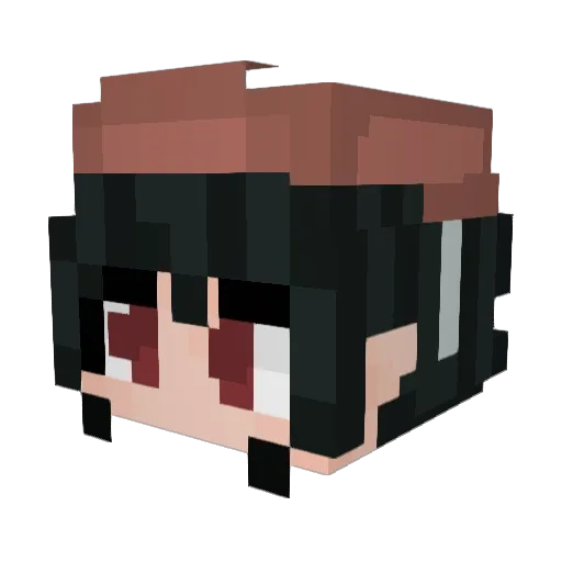 LocaI_ Minecraft avatar head, 3D render