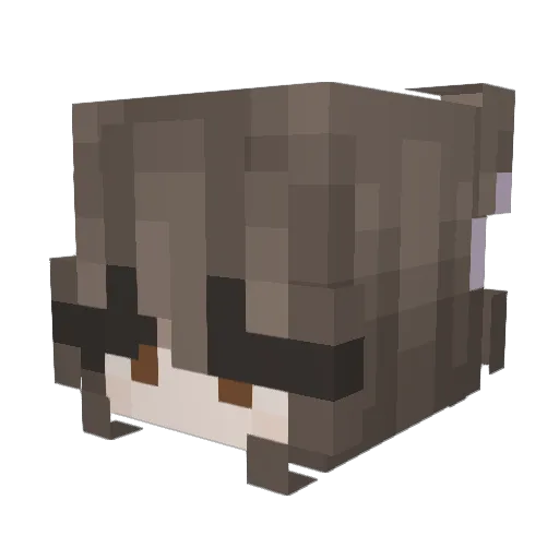 LocalBearOllie Minecraft avatar head, 3D render