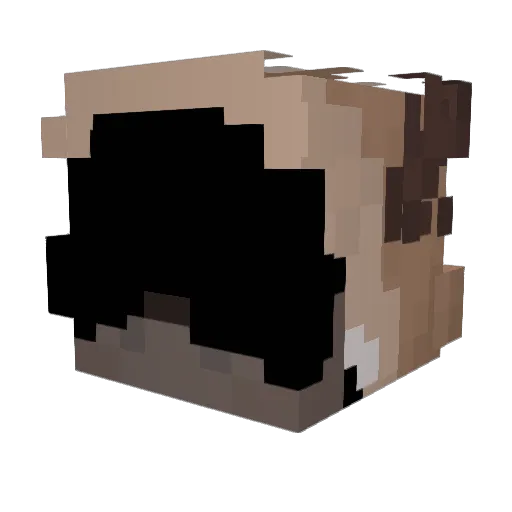 LocalBlackMan69 Minecraft avatar head, 3D render