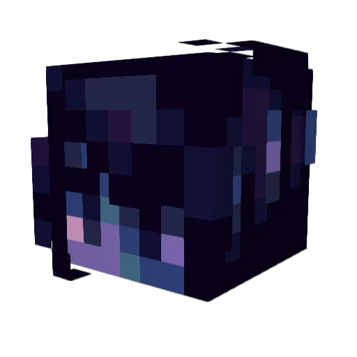 LocalCrypid Minecraft avatar head, 3D render