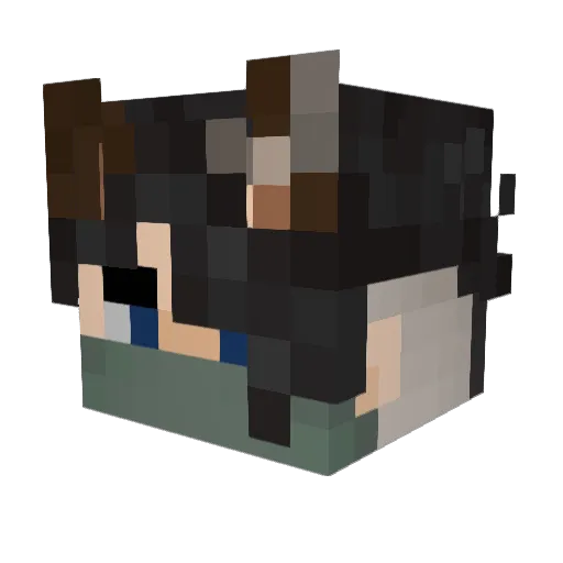 LocalGh0st Minecraft avatar head, 3D render