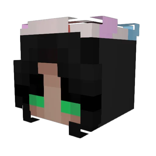 LocalMomKisser1 Minecraft avatar head, 3D render