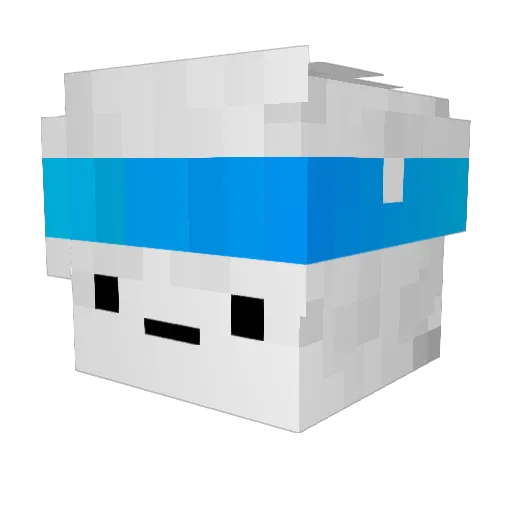 LocalWhiteGuy Minecraft avatar head, 3D render