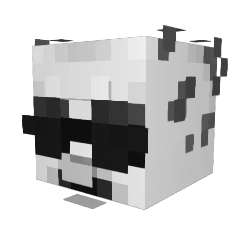 Local_Boomer Minecraft avatar head, 3D render