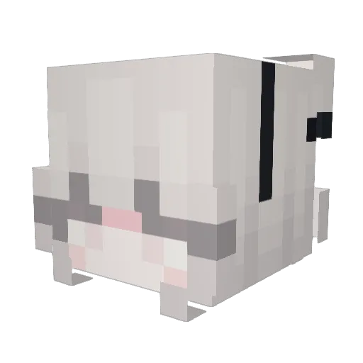 LocallySalt Minecraft avatar head, 3D render