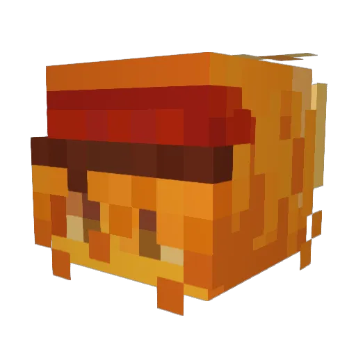 LocallySunshine Minecraft avatar head, 3D render