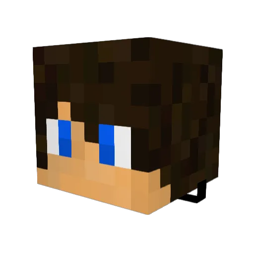 Locarox Minecraft avatar head, 3D render