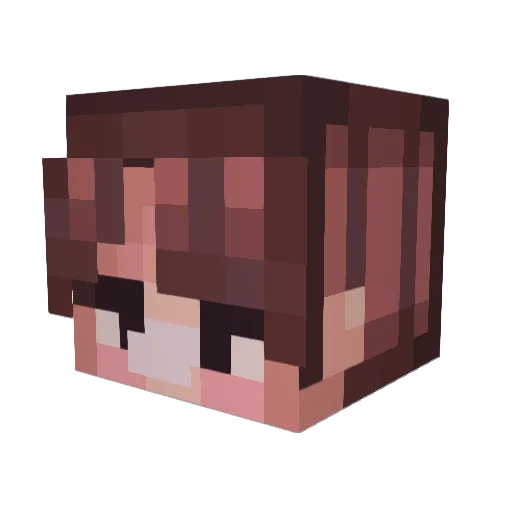 Locasaa Minecraft avatar head, 3D render