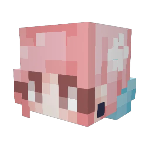 Loccacio Minecraft avatar head, 3D render