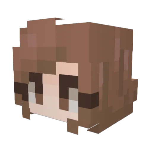Lochancat Minecraft avatar head, 3D render