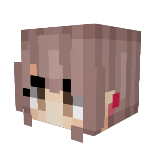Locip Minecraft avatar head, 3D render