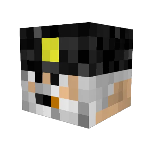 Locke2007 Minecraft avatar head, 3D render