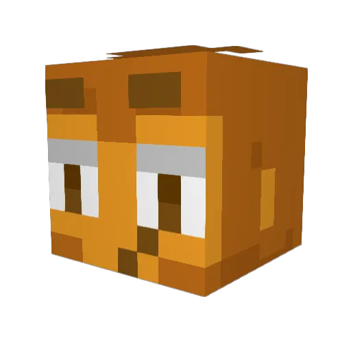 Locked_1n Minecraft avatar head, 3D render