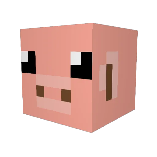 Locko2004 Minecraft avatar head, 3D render