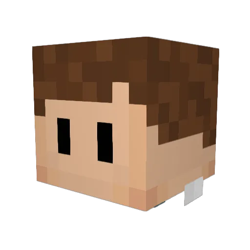 Locko Minecraft avatar head, 3D render