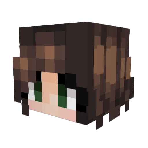 LocksTheFox Minecraft avatar head, 3D render