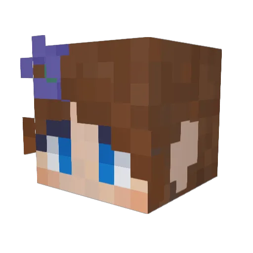 LocoCocoa21 Minecraft avatar head, 3D render