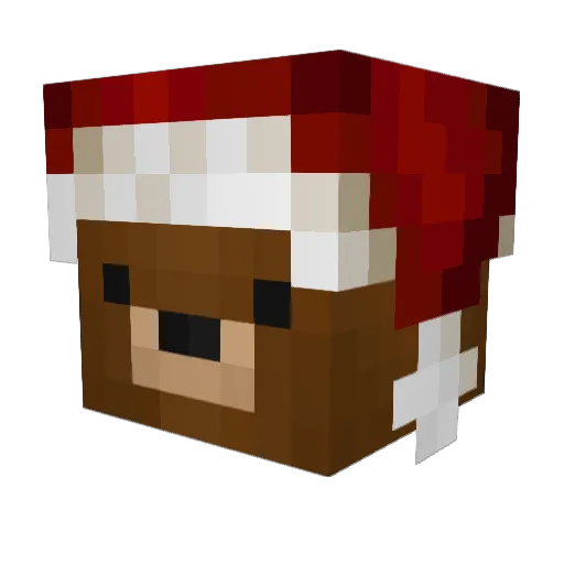 LocoForHotcocoa Minecraft avatar head, 3D render