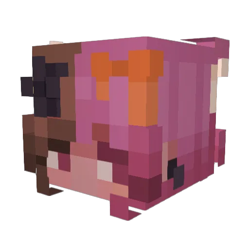 LocoMobius Minecraft avatar head, 3D render